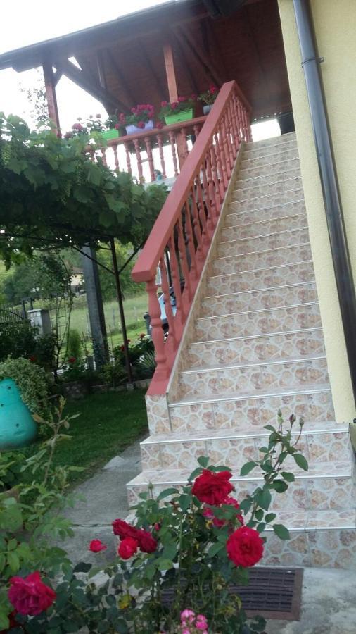 Prenociste " Ruza" Apartment Visegrad Exterior photo
