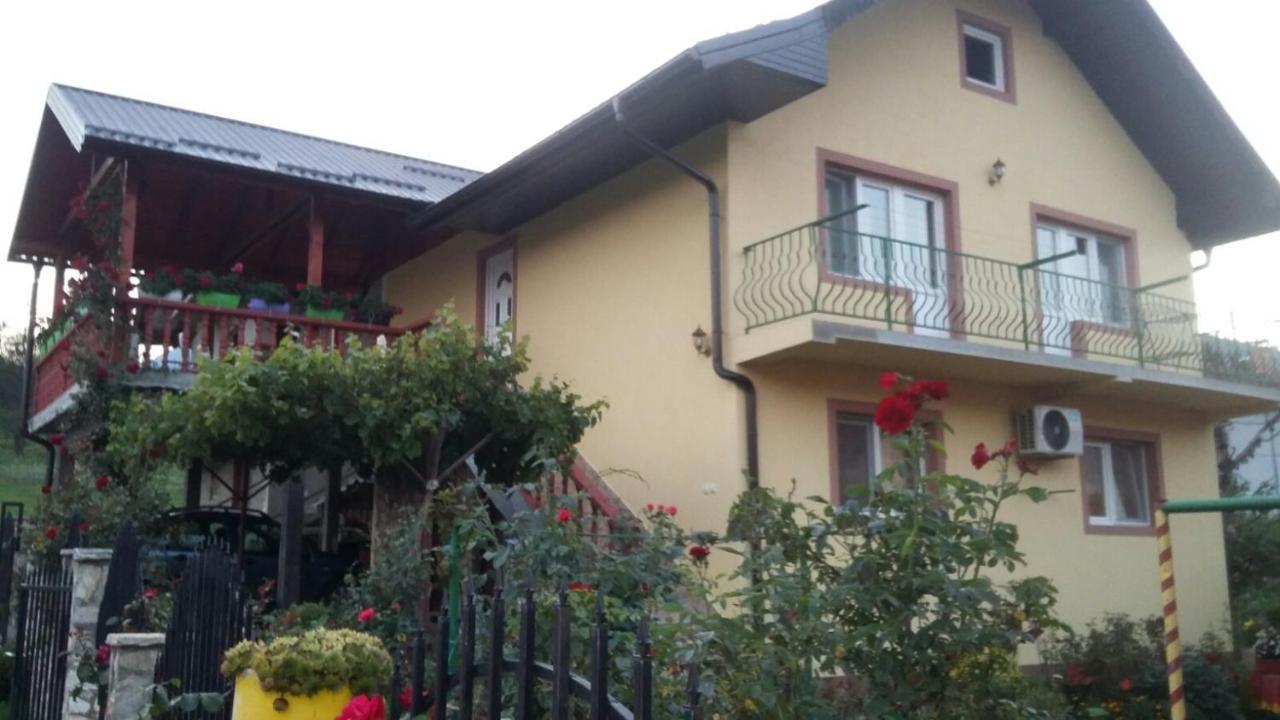Prenociste " Ruza" Apartment Visegrad Exterior photo